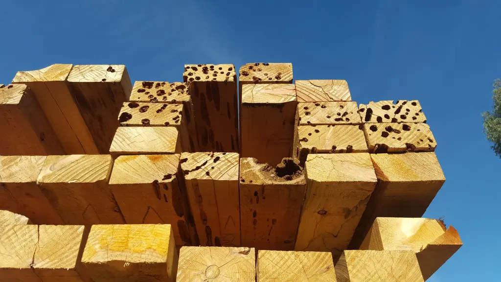 Log home