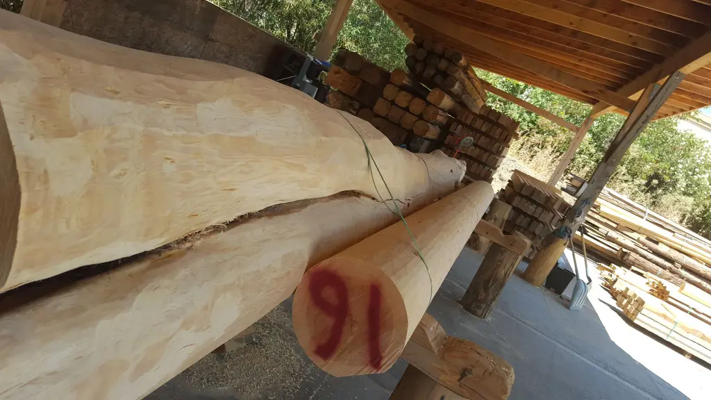 Log home