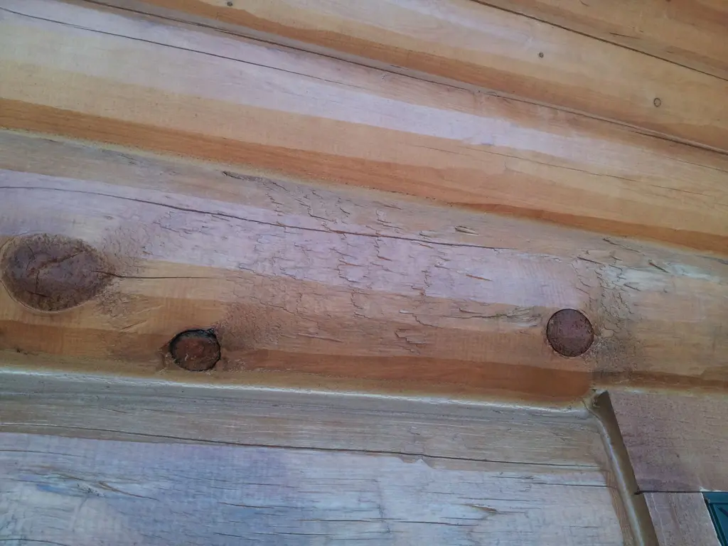 Log home
