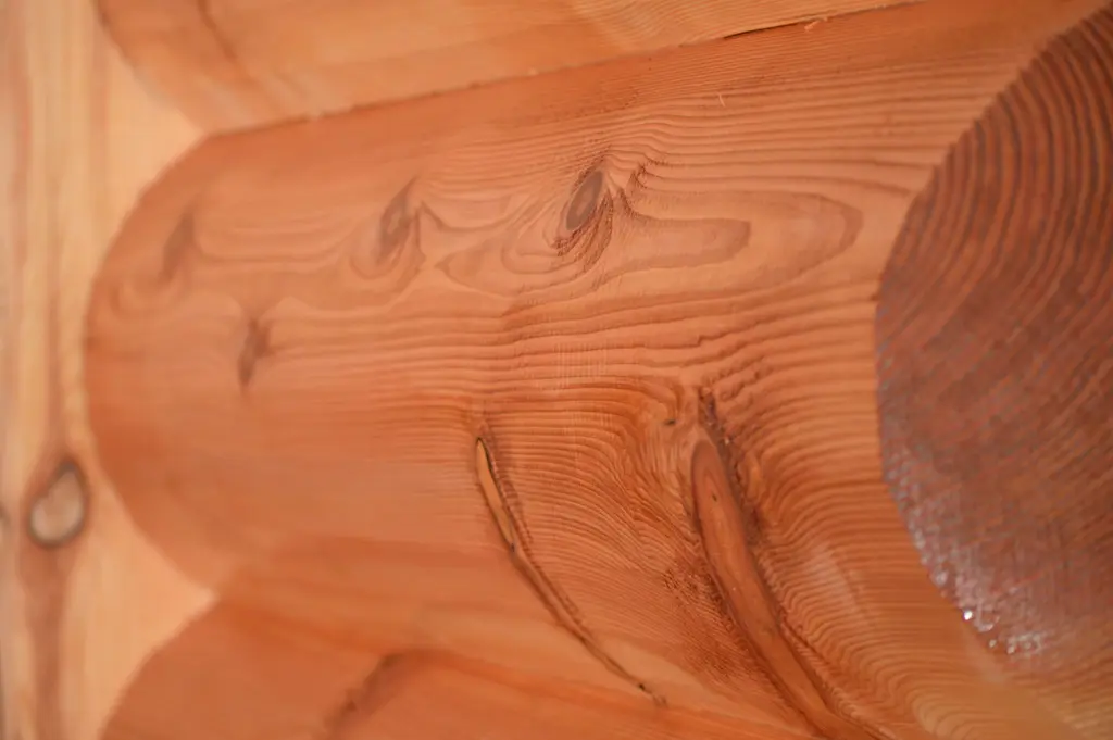 Log home