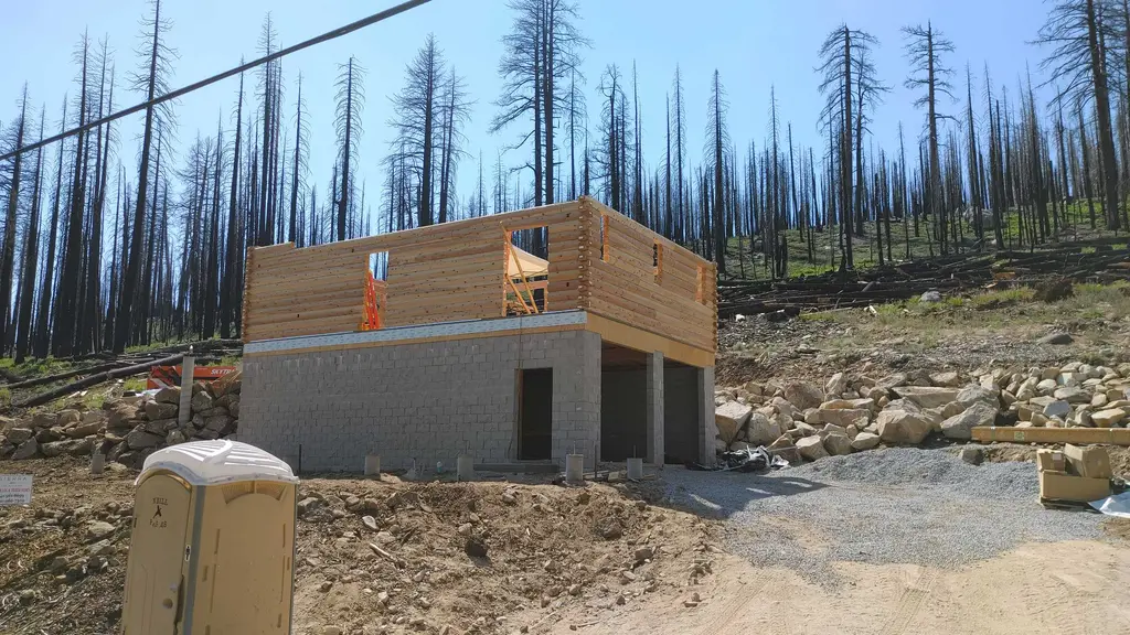 Sierra Pine