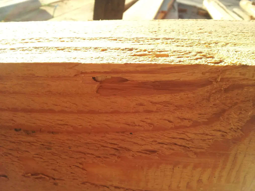 Log home