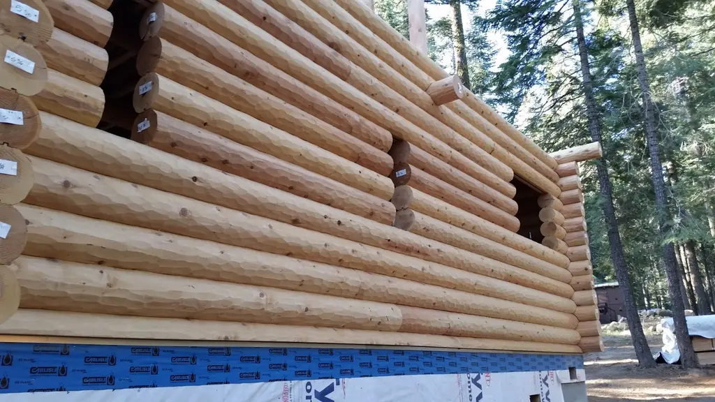 Log home