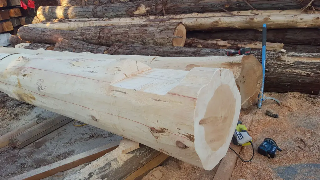 Log home