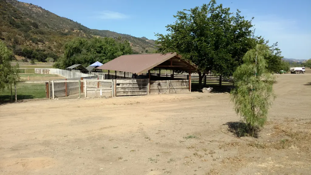 Log home