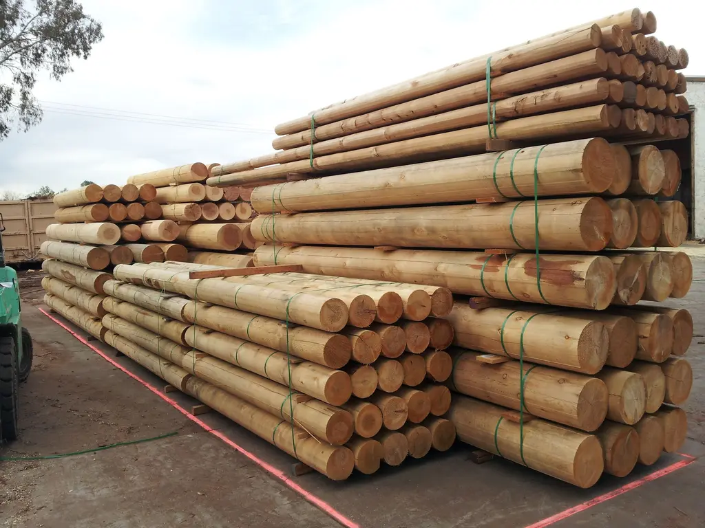 Log home