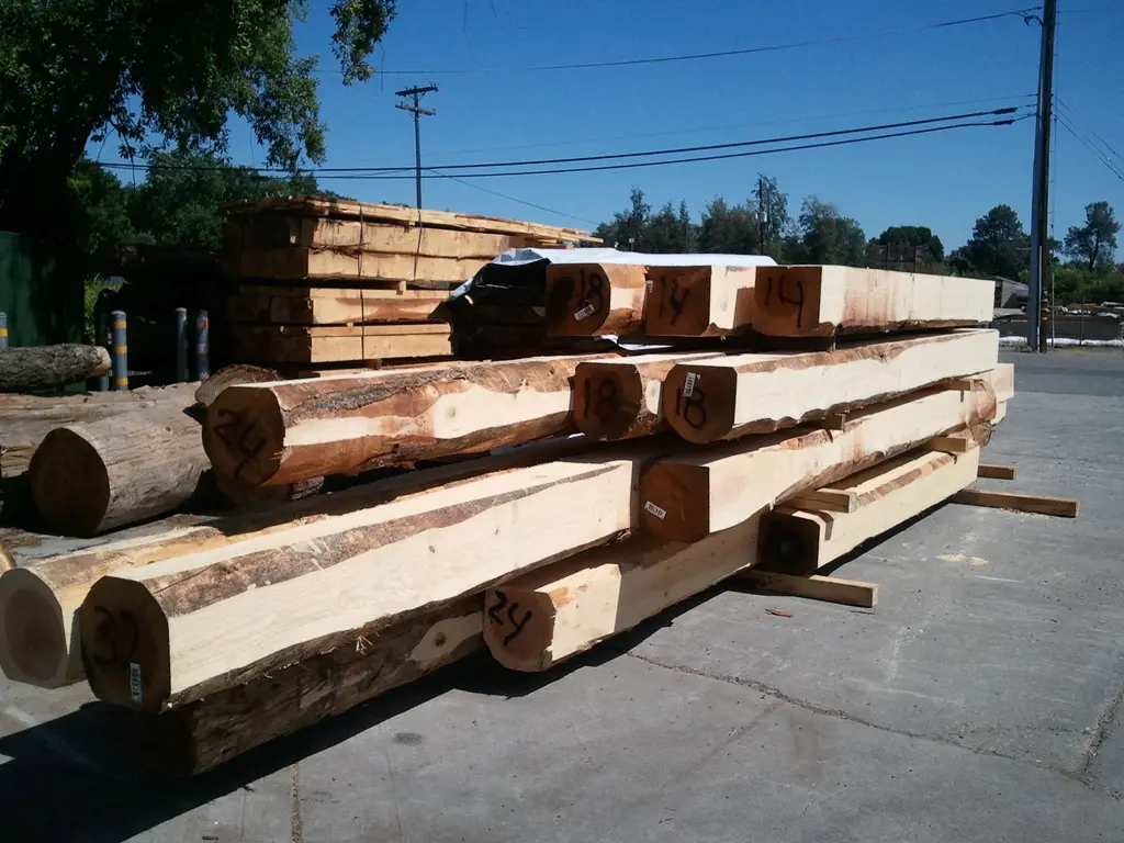 Log home
