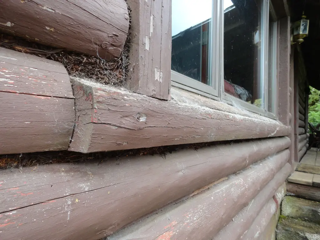 Log home