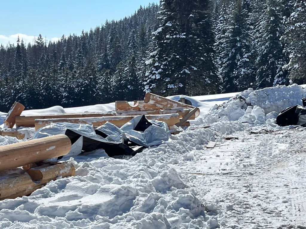 Wapiti