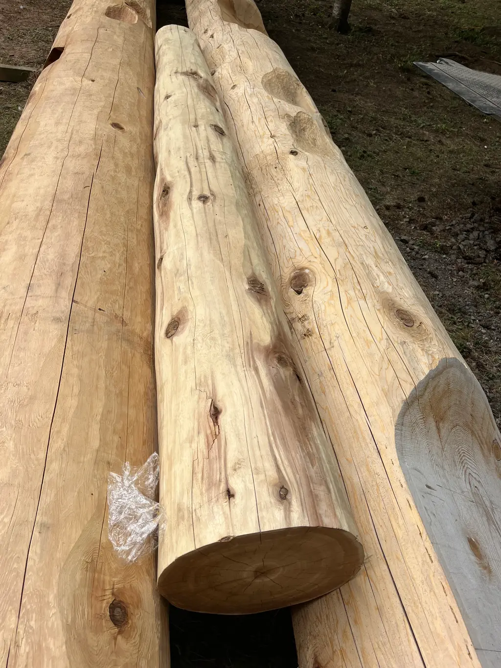 Log home