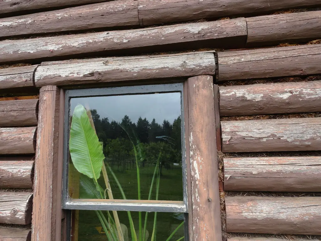 Log home