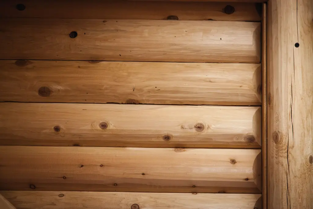 Log home