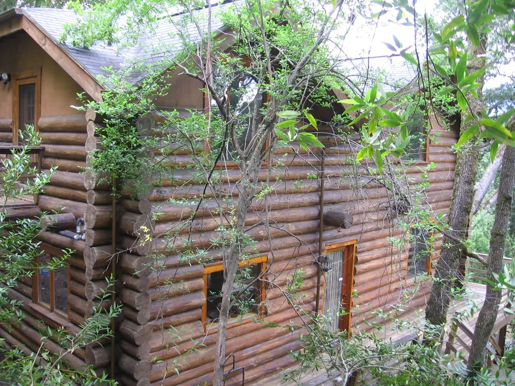 Log home