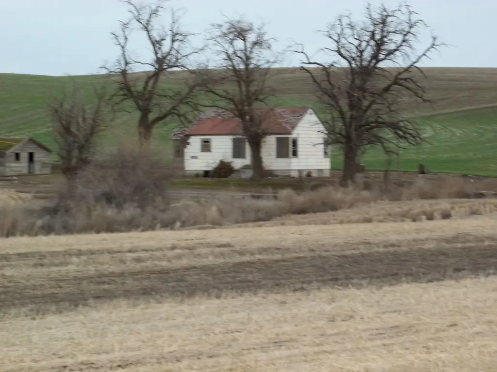 Log home