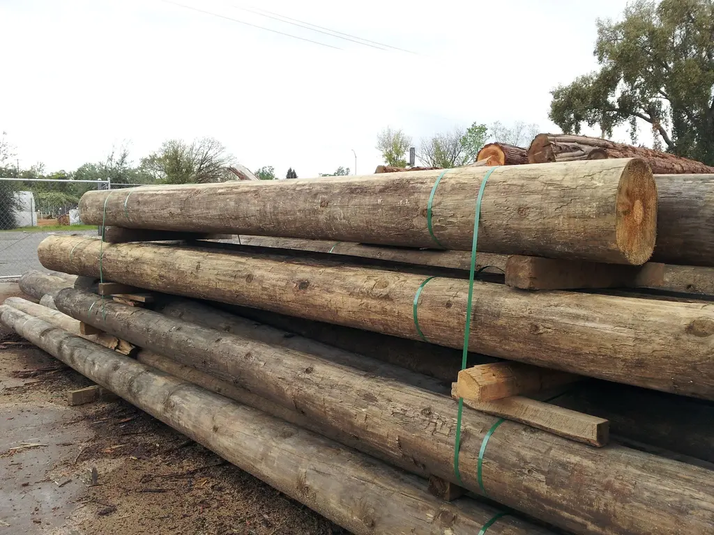 Log home