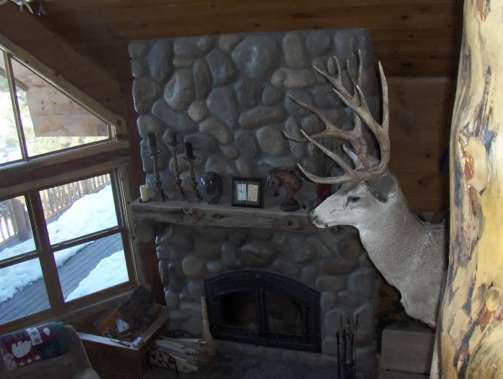 Log home