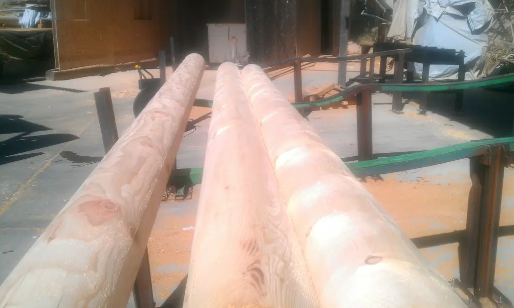 Log home