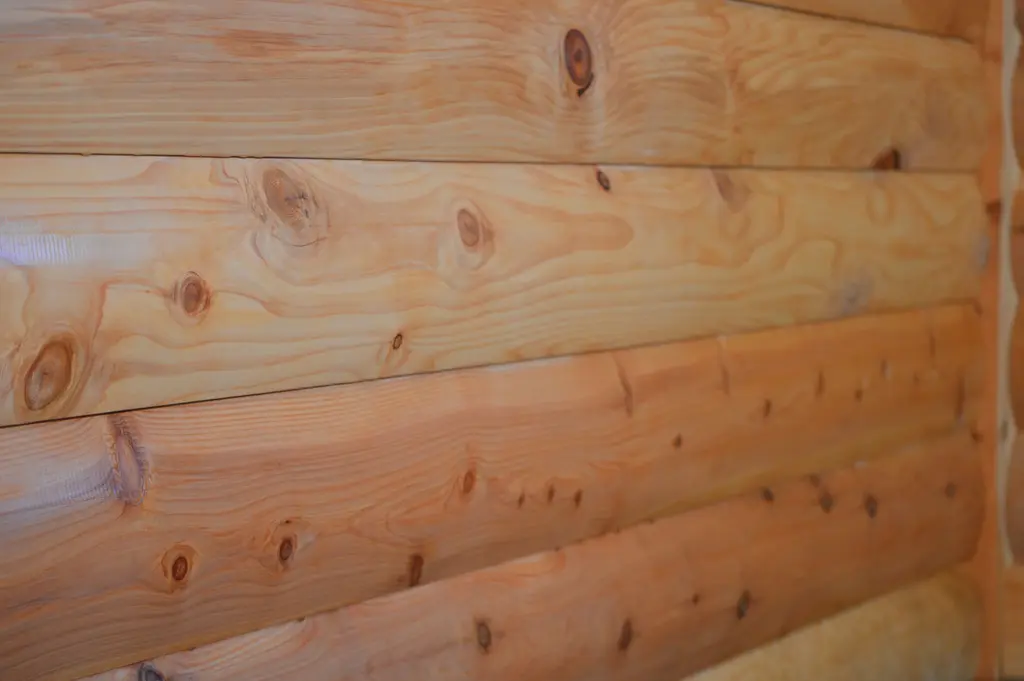 Log home