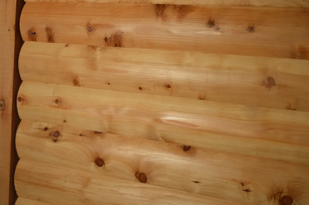 Log home