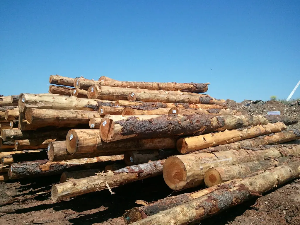 Log home