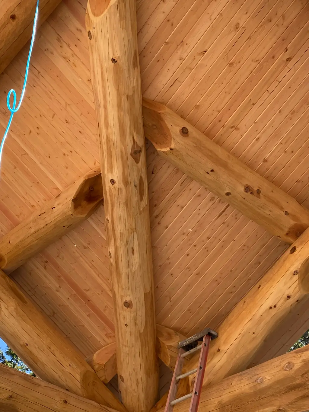 Log home
