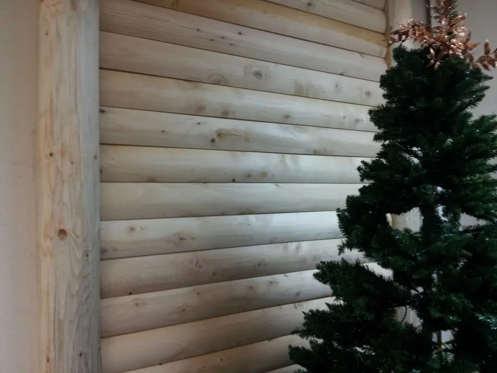 Log home
