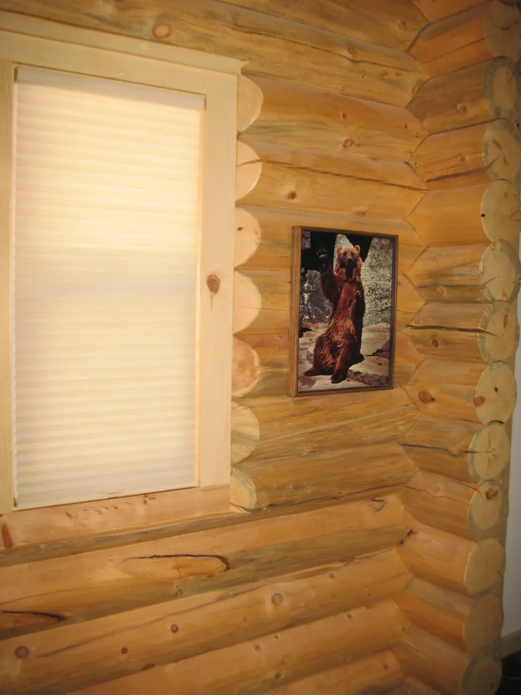Log home
