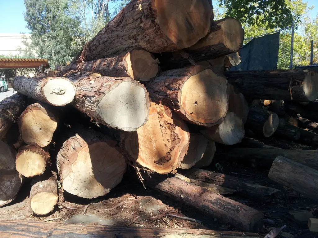 Log home