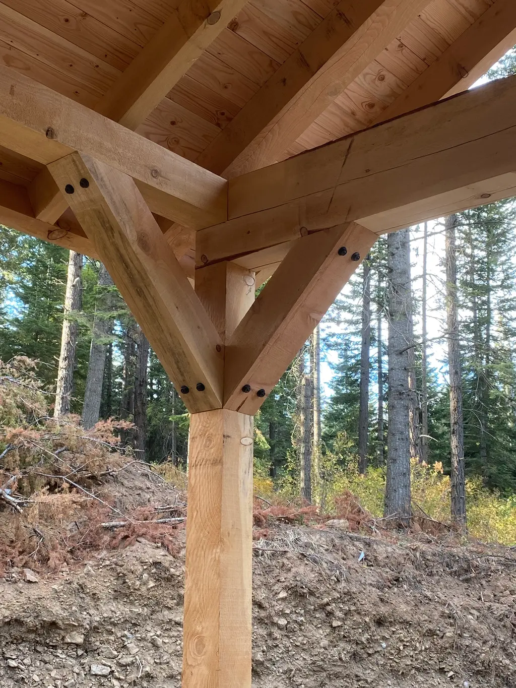 Log home