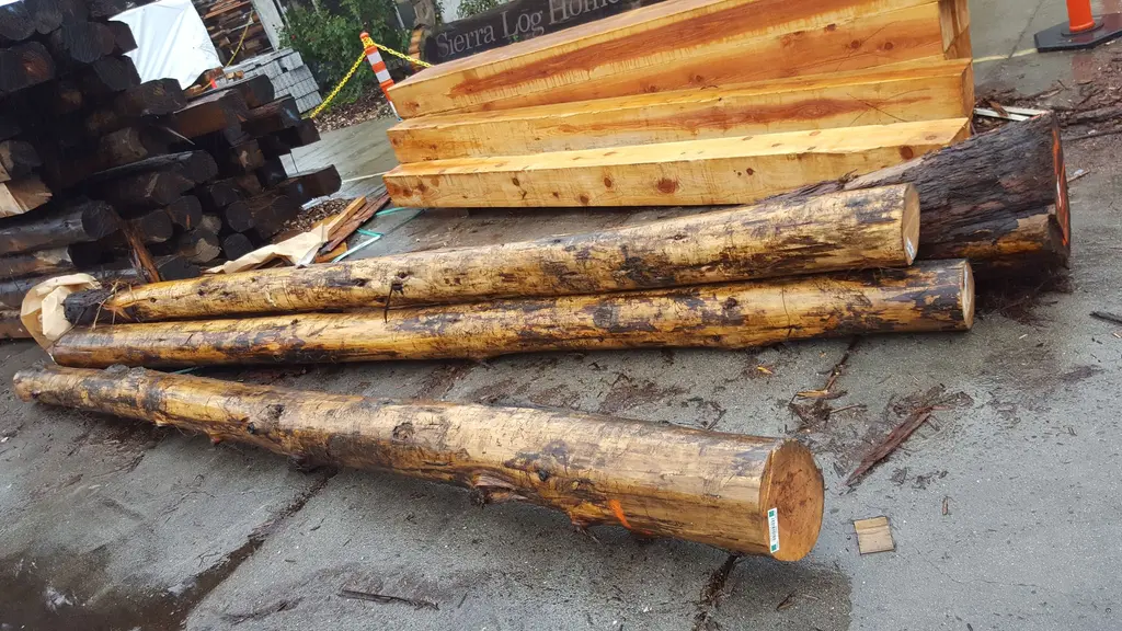 Log home