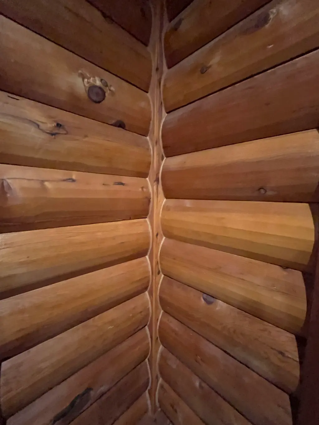 Log home
