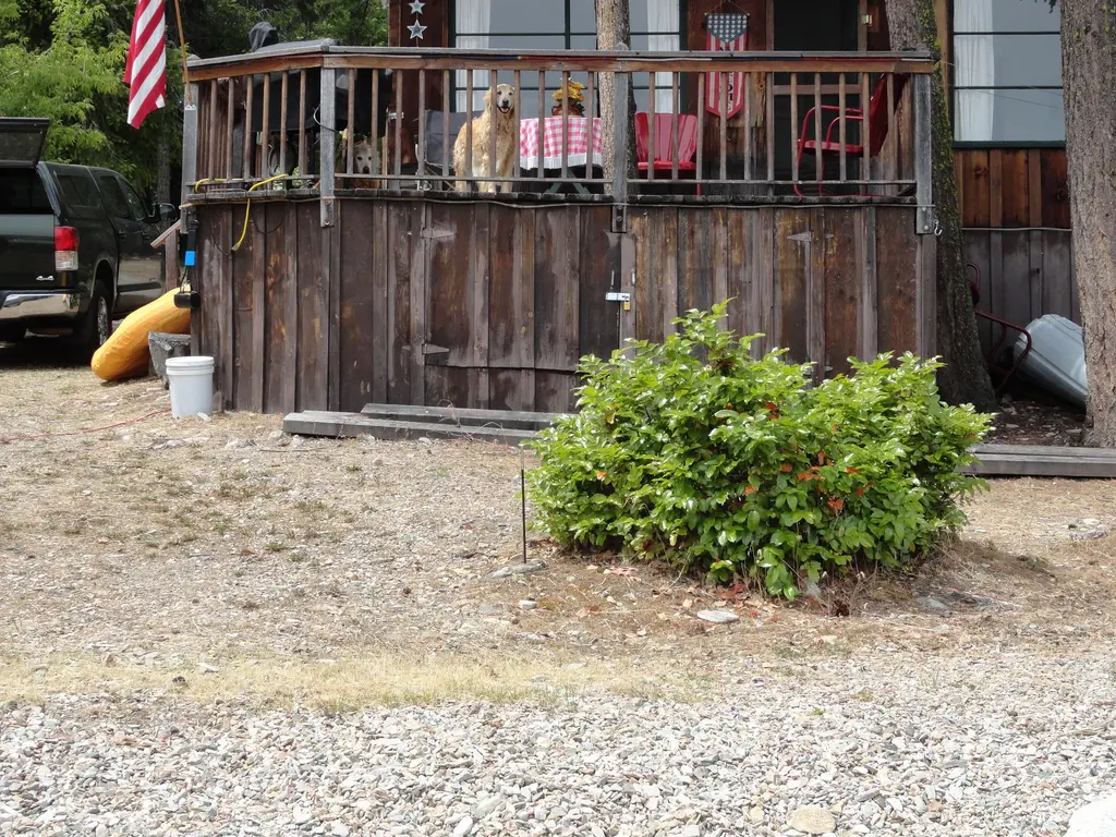 Log home