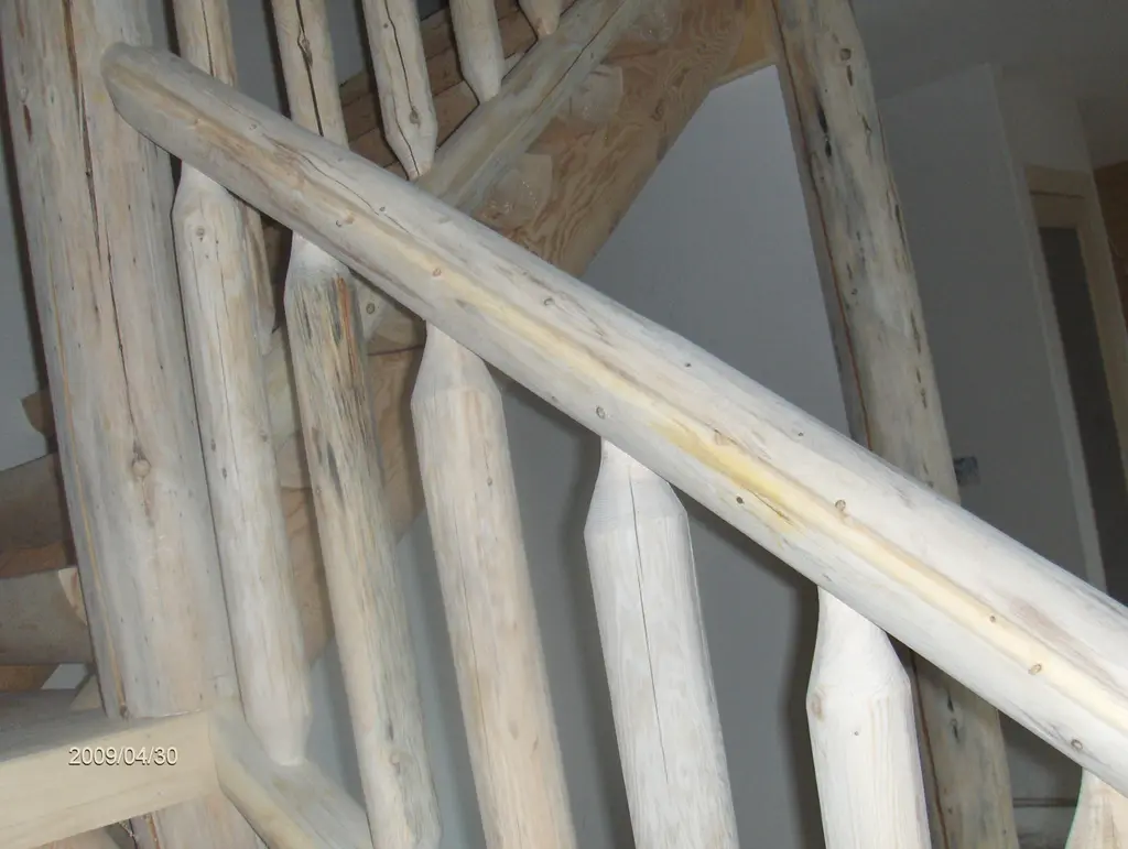 Log home
