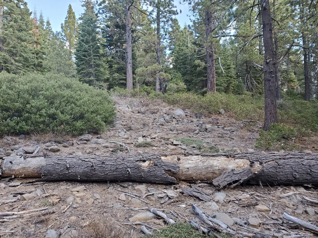 Log home