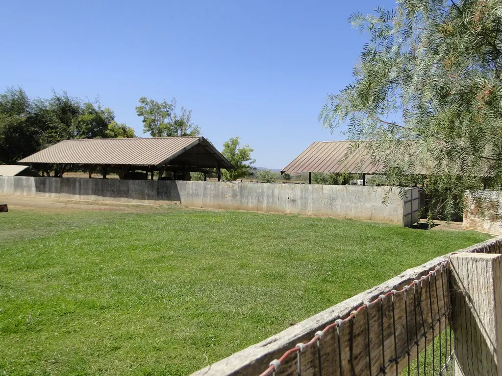 Log home
