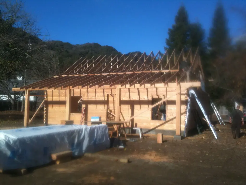 Log home