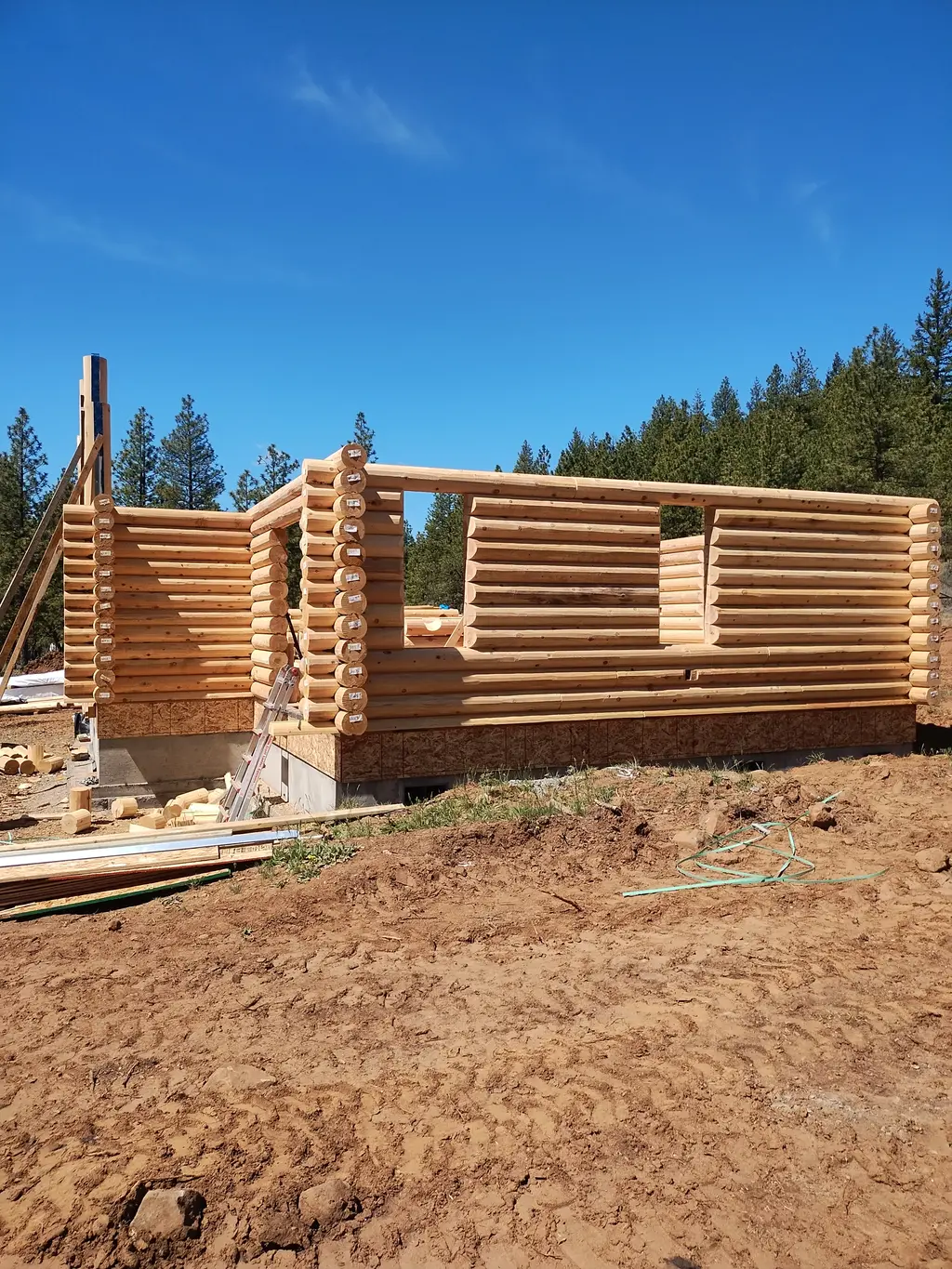 Bearbones Ranch