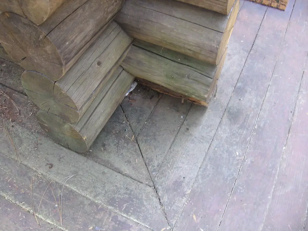 Log home