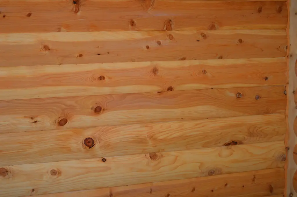 Log home