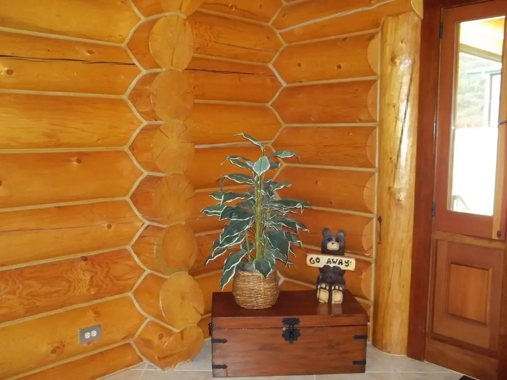 Log home