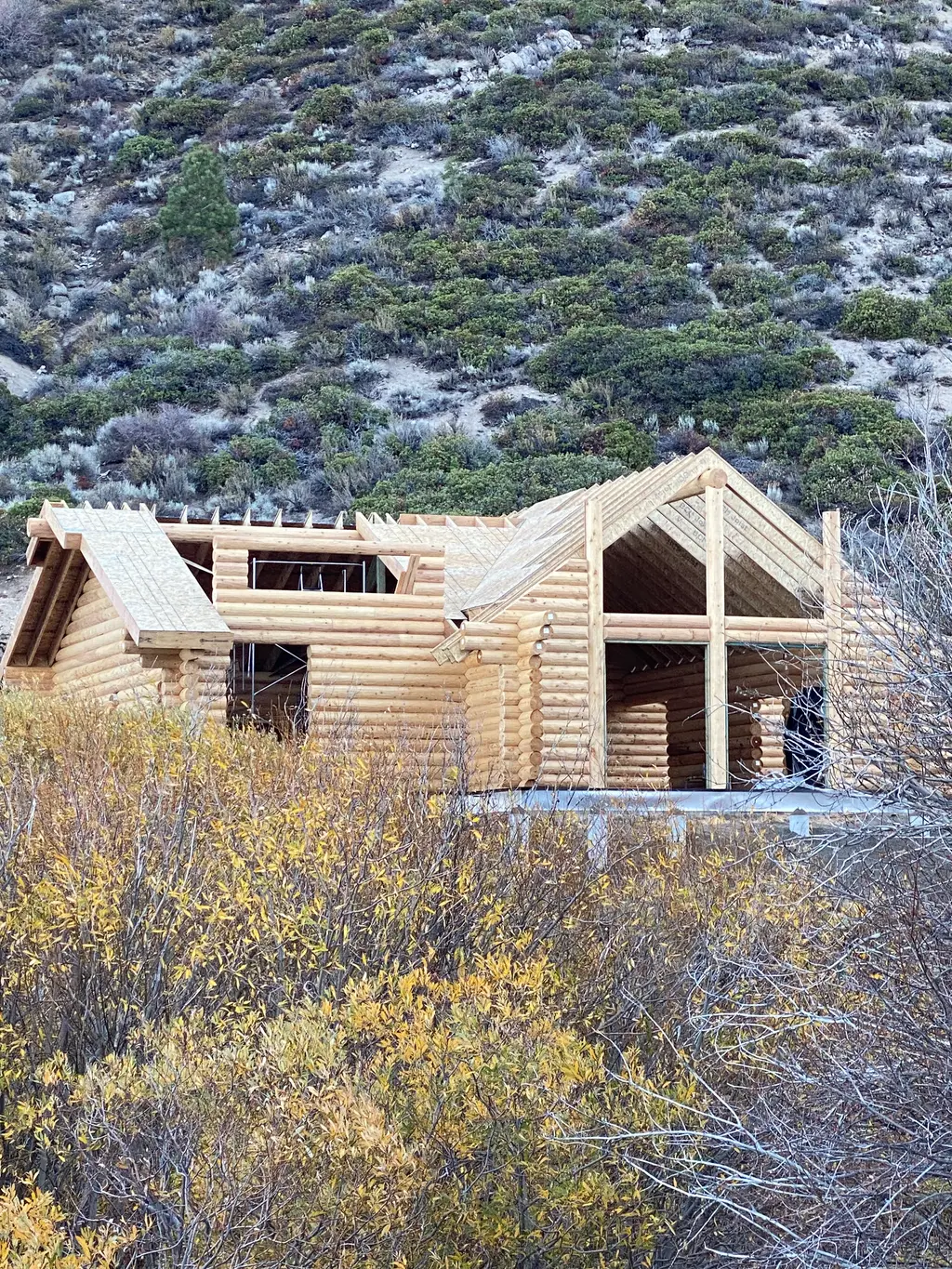 Round Logs