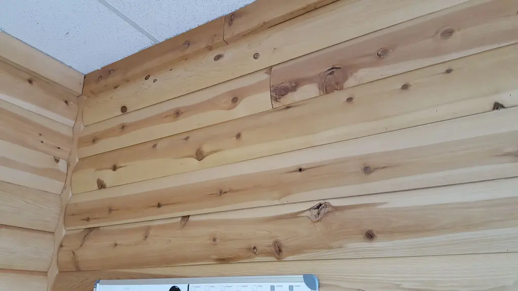 Log home