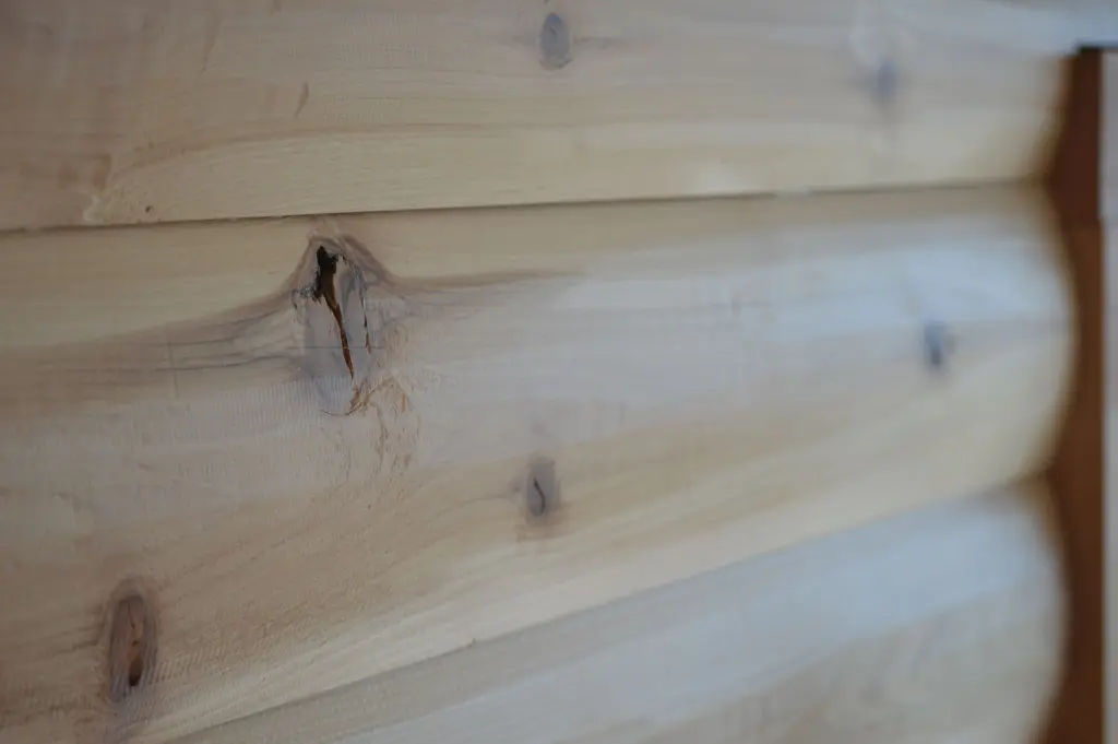 Log home