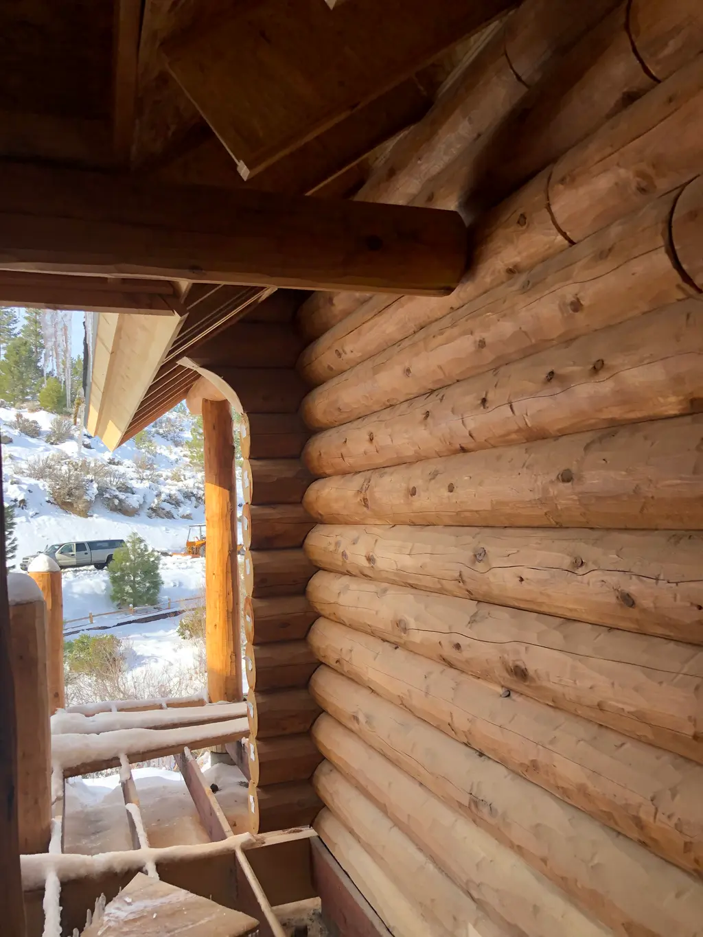 Round Logs