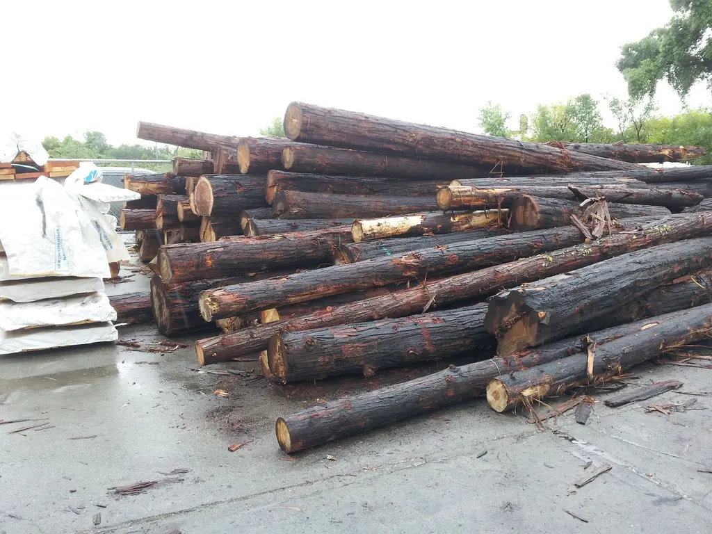 Log home