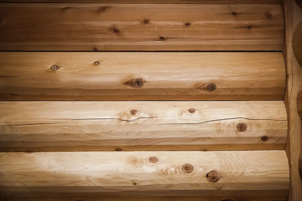 Log home