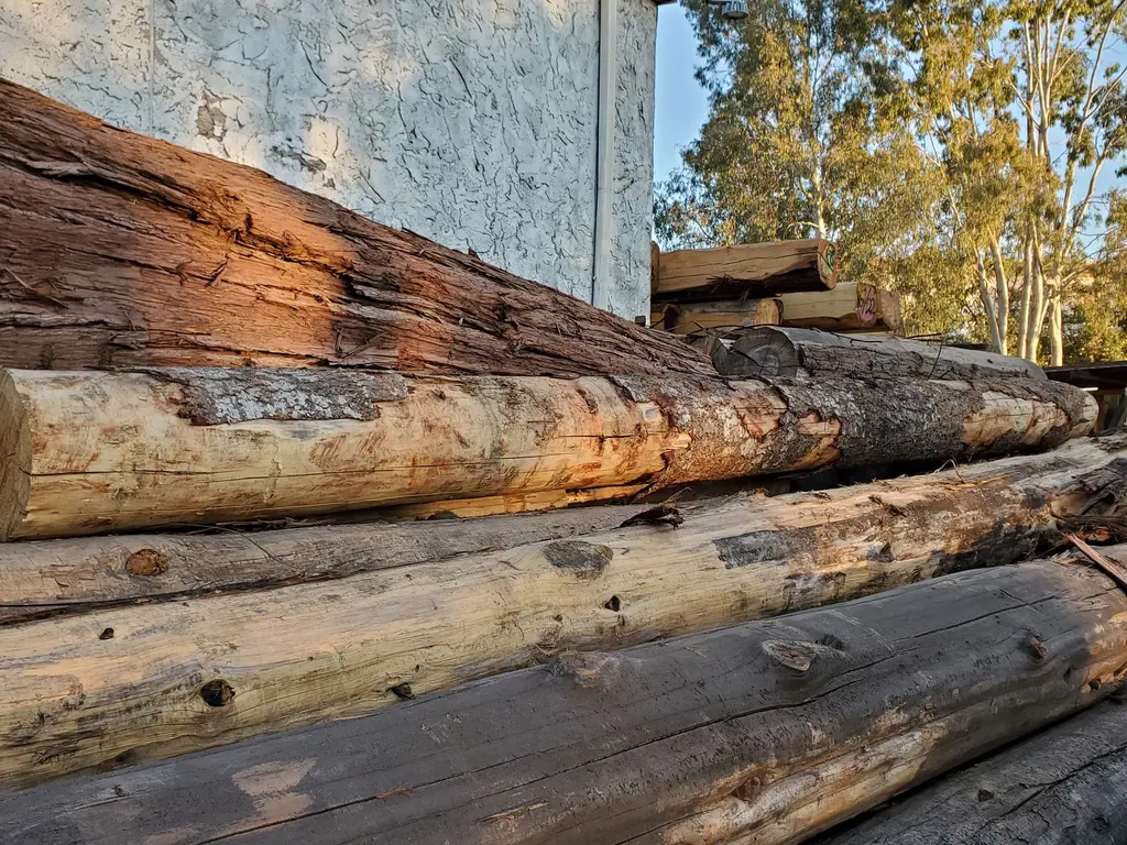 Log home