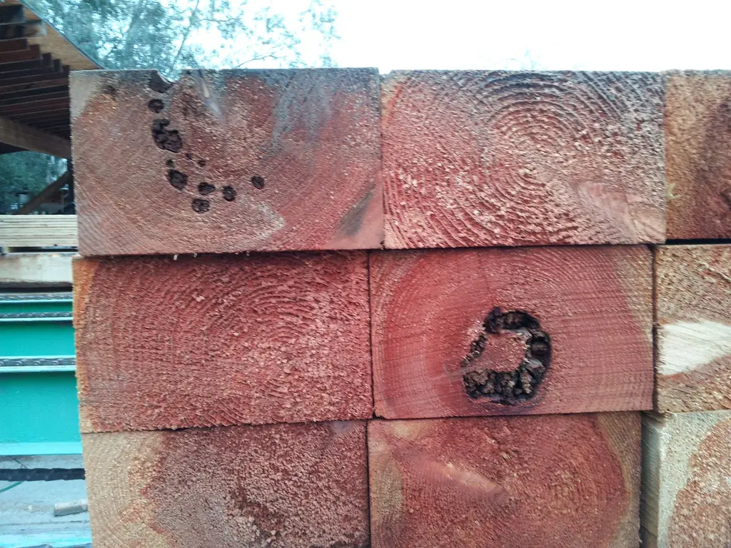 Log home