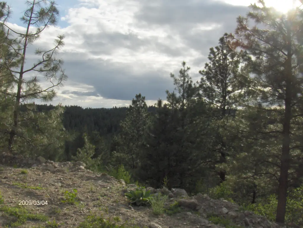 Log home