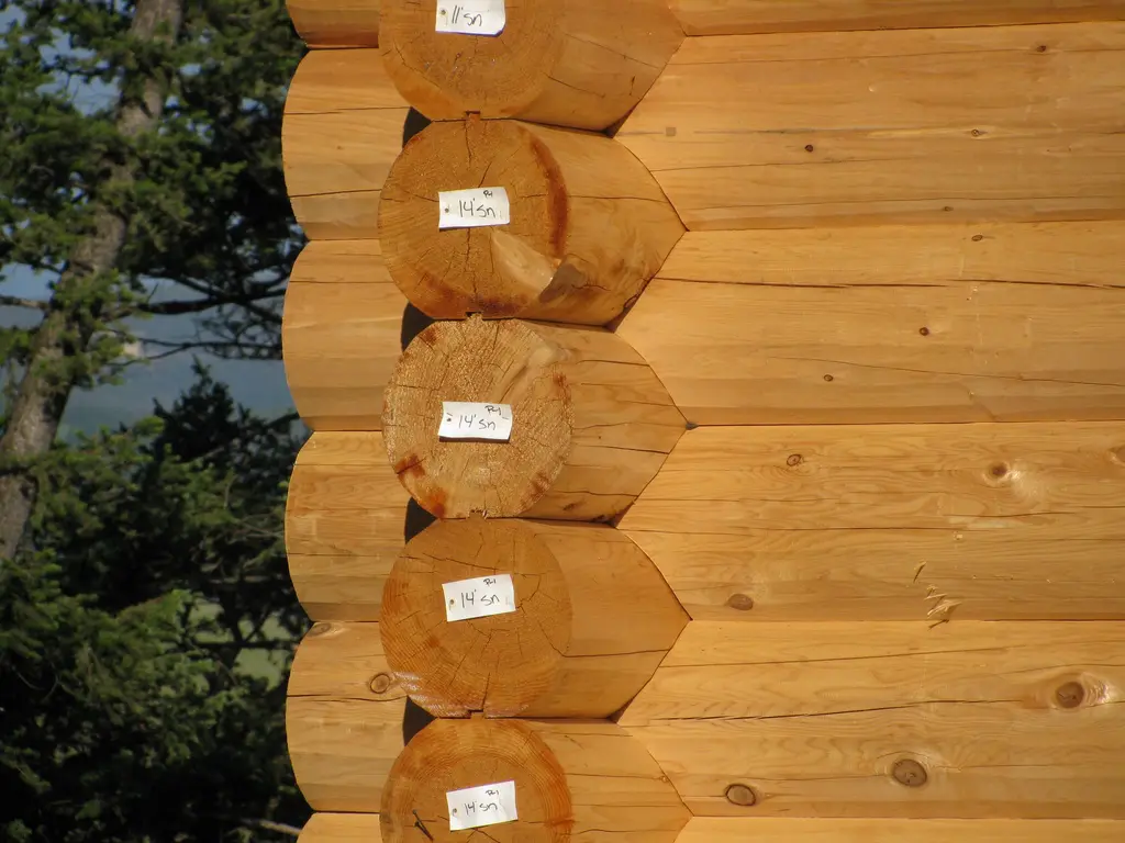 Log home